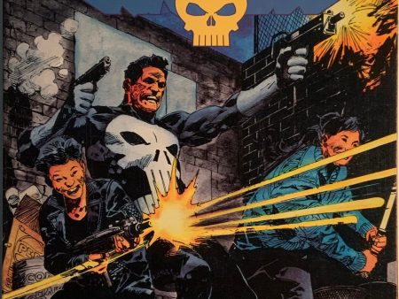 MARVEL GRAPHIC NOVEL : THE PUNISHER ASSASSIN’S GUILD Online Sale