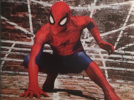 AMAZING SPIDER-MAN (2015-2018) # 1 COSPLAY 1:15 VARIANT COVER Hot on Sale