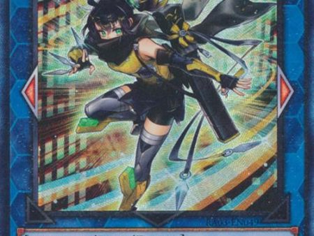 S:P Little Knight (CR) [RA03-EN049] Prismatic Collector s Rare on Sale